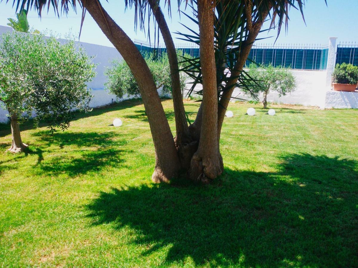 B&B Zagara Marsala Exterior photo